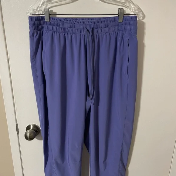 Athleta Arrival Pants in Dark Adonis Blue Size 14 - Picture 4 of 12